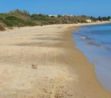 Scet-tunisie - PROGRAMME DE PROTECTION DU LITTORAL TUNISIEN PHASE 4 (PPLT-4)